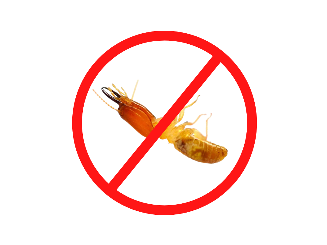 GingerBays Pest Control Commercial and house