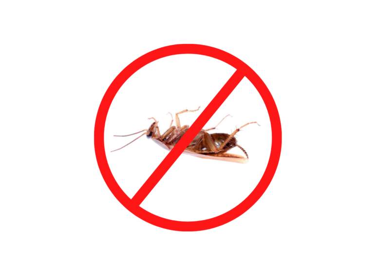Best Pest Control Service Near Me Book Online Get 10 OFF