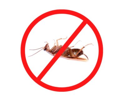 Cockroach Management Service