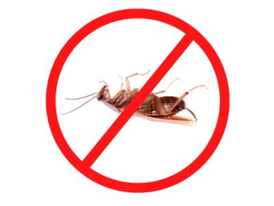 Cockroach Management Service