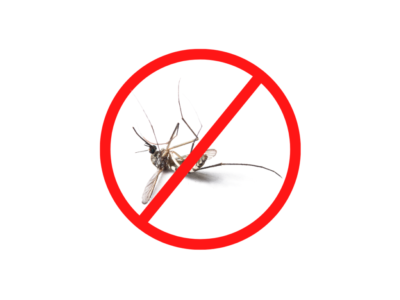 Mosquito Management Service