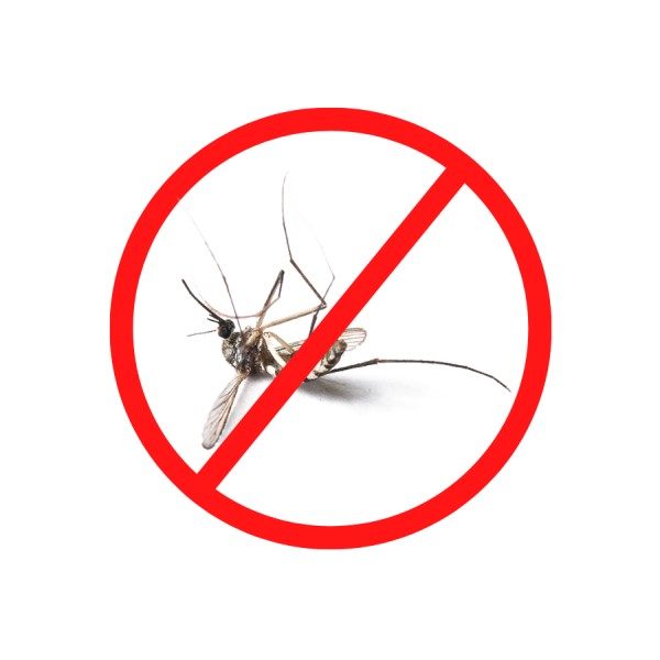 Mosquito Management Service