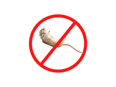 Rodent Management Service