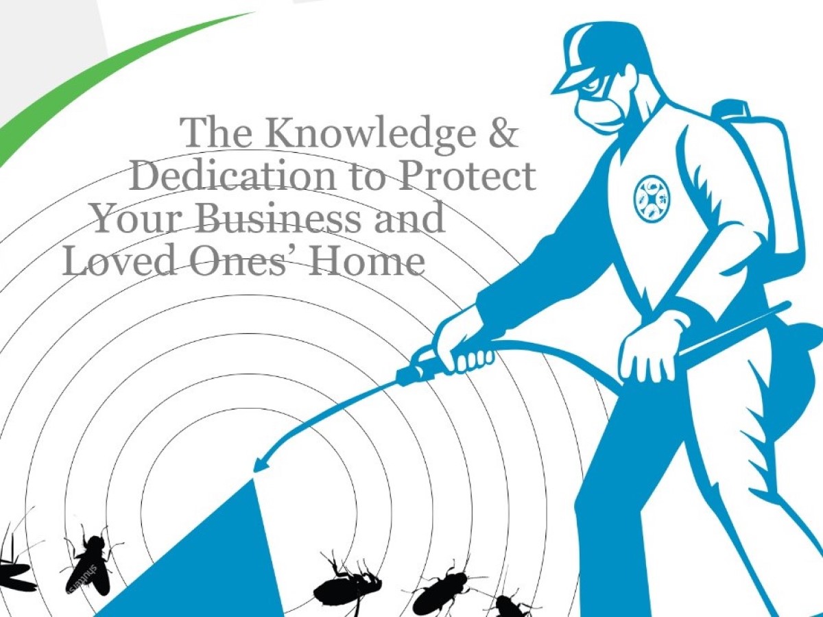 Can I Do Pest Control By Myself (DIY)? GingerBays